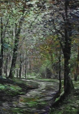 Image of peaceful path through the woods